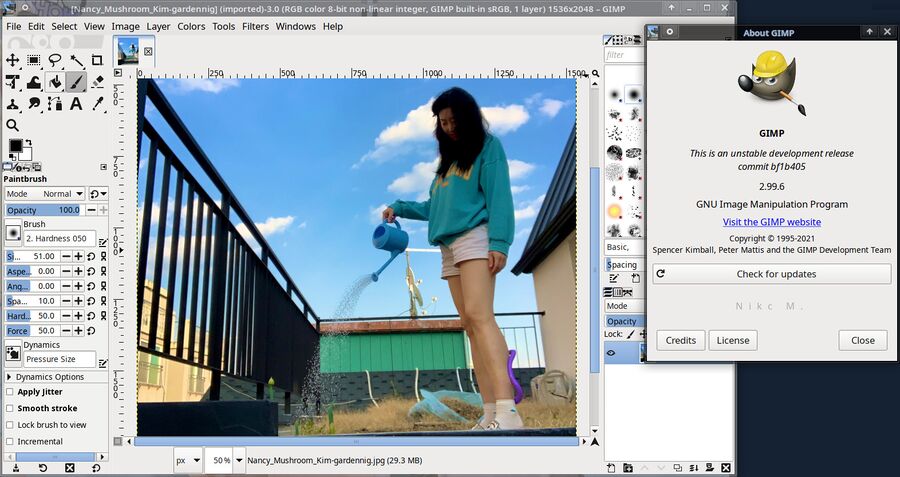 GIMP-2.99.6-featuring Nancy Mushroom Kim.jpg